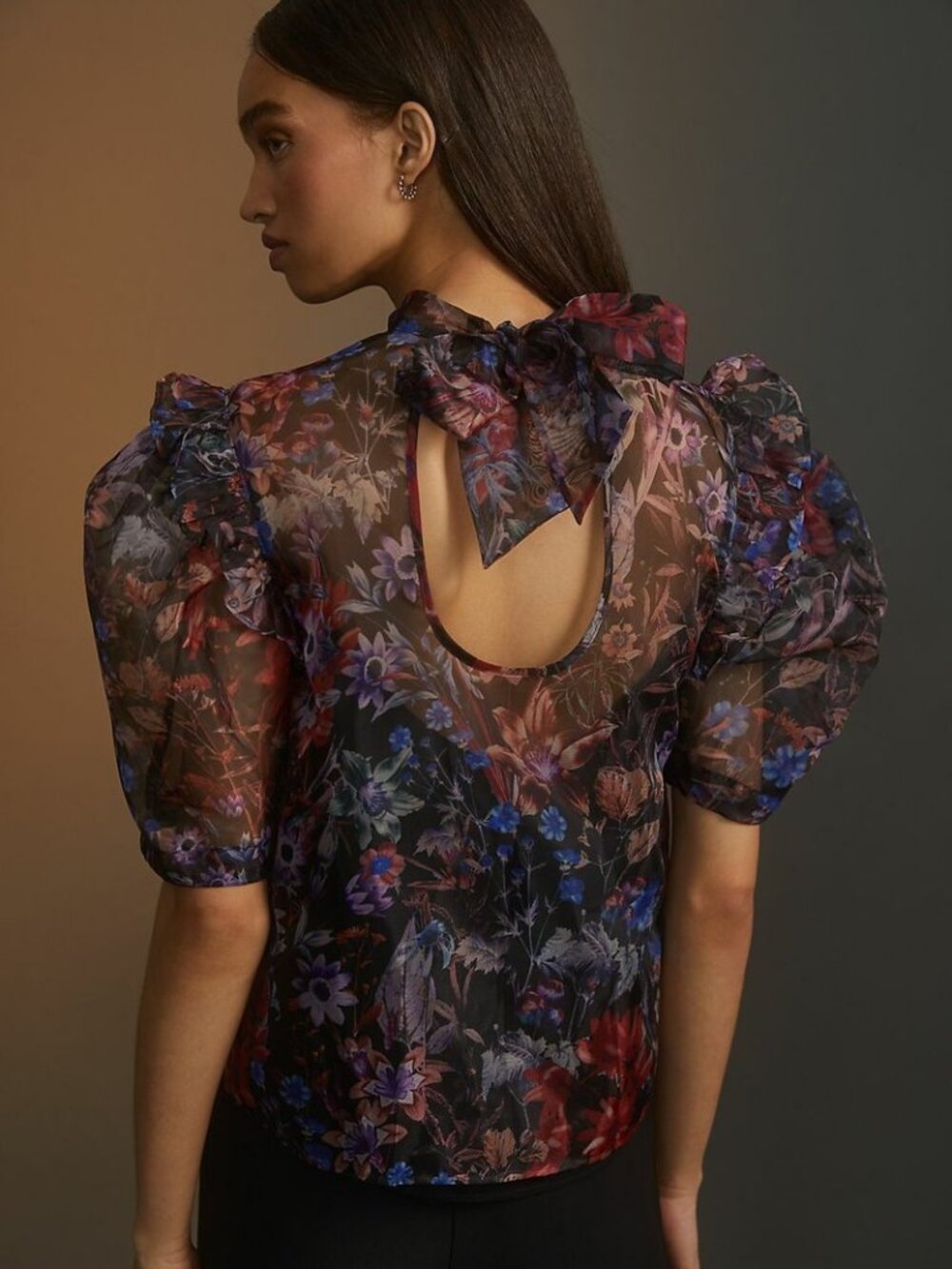 Womens Anthropologie Maeve Organza Top Size XS Floral Printed Lined High Neck
